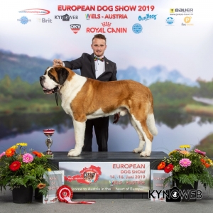 CH. WW. JCH. JWW. DANGER OD STRÁŽCŮ HOR - CAC, CACIB EUROPEAN WINNER, BEST OF BREED