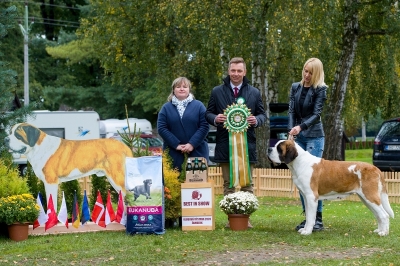 Kiss of Konga Wielkopolski Bernardyn - BEST IN SHOW