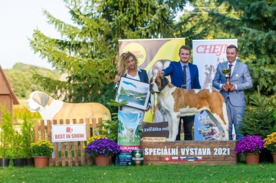 JCh. Perla Carpathian Saint´s - BEST IN SHOW