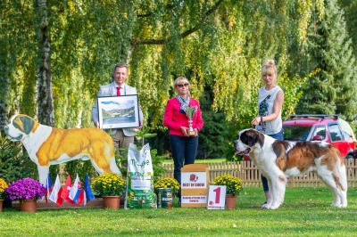 Ch. Zorba Wielkopolski Bernardyn - BEST IN SHOW