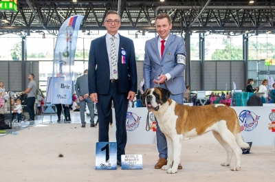 Ch. Lola od Strážců hor - Světový vítěz, BEST OF BREED