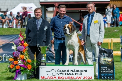 VIKTOR OD STRÁŽCŮ HOR - JUNIOR BEST IN SHOW