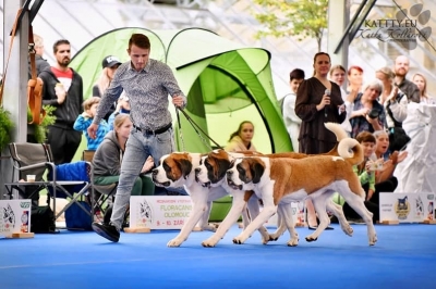 Viktor, Umberto a Lola od Strážců hor - 1. místo v soutěži chovatelských kupin