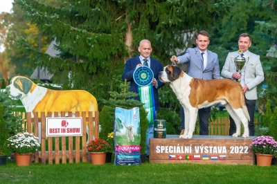 JCh. Umberto od Strážců hor - BEST N SHOW