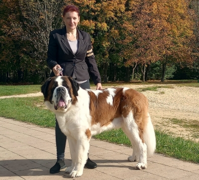 ICh. Fridolín ze Statku od Dobré vody