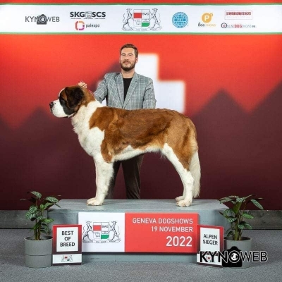 Ch. JWW. Chanel Eliščino království