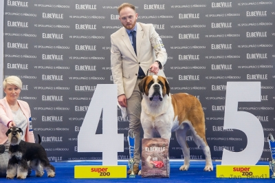 Ch. Viktor od Strážců hor - BIG 4