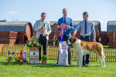 Ch. Viktor od Strážců hor - BEST IN SHOW