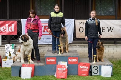 Asmej Fortis Silesia