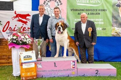 Ch. Viktor od Strážců hor - BEST IN GROUP, BEST OF DAY, RESERVE BEST IN SHOW