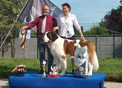 ICh. Fridolín ze Statku od Dobré vody - BEST IN SHOW