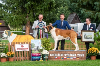 Ch. Viktor od Strážců hor - BEST IN SHOW