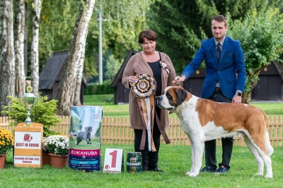 Ch. Viktor od Strážců hor - BEST IN SHOW