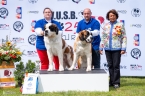 1. místo Nejlepší pár - Brody Fortis Silesia a Carrir Fortis Silesia 