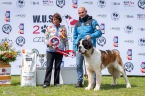 W´Mariko de la Vega de Carmona - V 1, CAC, Klubový vítěz, BOB, BIS