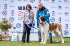 W´Mariko de la Vega de Carmona - V 1, CAC, Klubový vítěz, BOB, BIS