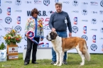 Hessy Pastor de Orellana - V 1, CAJC, Klubový vítěz mladých, BOJ