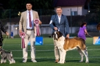 C.I.B. WW. Umberto od Strážců hor