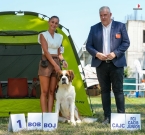 Olesea Eliščino království