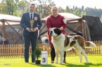 Ch. Brody Fortis Silesia