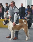 Ch. Dixie od Strážců hor