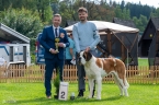 Ozzy Eliščino království