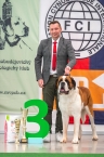 C.I.B. Viktor od Strážců hor