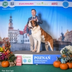 C.I.B. Viktor od Strážců hor