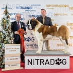 JCh. Napoleon od Strážců hor