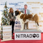 JCh. Napoleon od Strážců hor