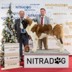 JCh. Napoleon od Strážců hor