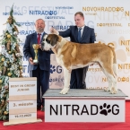 JCh. Kenny II od Strážců hor