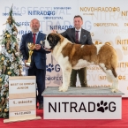 JCh. Napoleon od Strážců hor