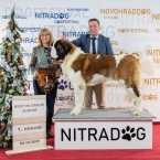 JCh. Napoleon od Strážců hor