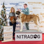 JCh. Kenny II od Strážců hor