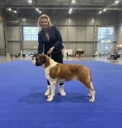 Ch. Anežka z Dobruské stáje