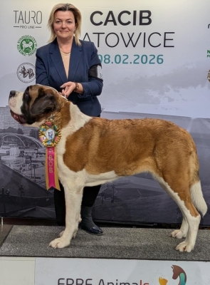 Ch. Anežka z Dobruské stáje