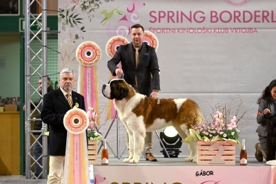 JCh. Napoleon od Strážců hor - JUNIOR BEST IN SHOW