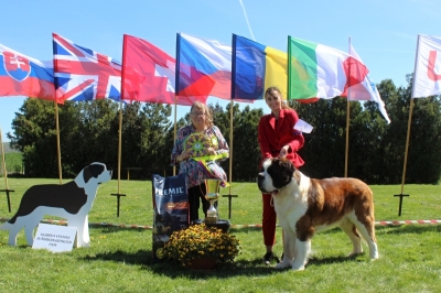 C.I.B. Guardian Angel Eliščino království - BEST IN SHOW