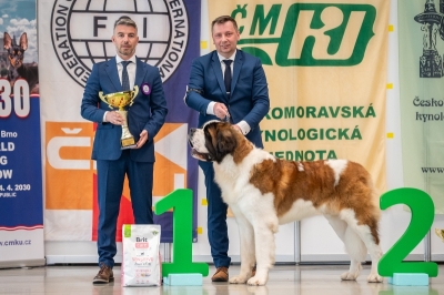 Napoleon od Strážců hor - JUNIOR BEST IN GROUP