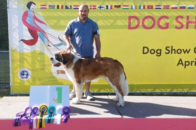 Ch. Carrie Fortis Silesia