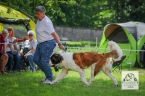 Ch. CIB-J Hessy Pastor De Orellana