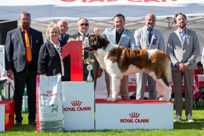 Ch. Napoleon od Strážců hor - BEST IN SHOW