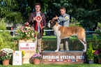 Oskar od Strážců hor - VN 1, Nejlepší dorost plemene, BIS dorost