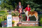 Olesea Eliščino království - V 1, CAC, Vítěz speciální výstavy, BOS