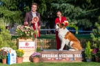 Olesea Eliščino království - V 1, CAC, Vítěz speciální výstavy, BOS