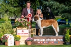 Rhea Eliščino království - V 1, CAJC, BOJ, Vítěz speciální výstavy mladý, BIS Junior