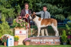 Lear do Strážců hor, V 1, CAC, Vítěz speciální výstavy, BOS