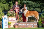 Danger od Strážců hor - V 1, BOV, Vítěz speciální výstavy veterán, BIS, veterán
