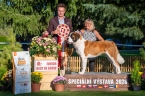 Rhea Eliščino království - V 1, CAJC, BOJ, Vítěz speciální výstavy mladý, BIS Junior